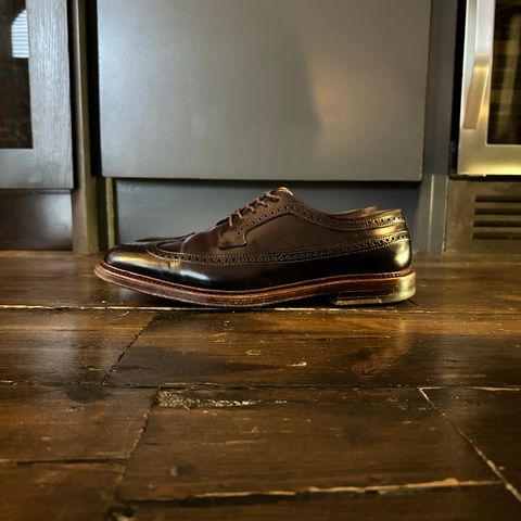 Alden Long Wing Blucher in Horween Color 8 Shell Cordovan