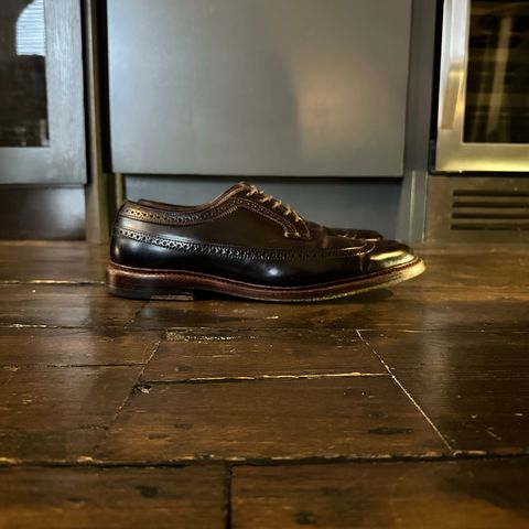 Alden Long Wing Blucher in Horween Color 8 Shell Cordovan