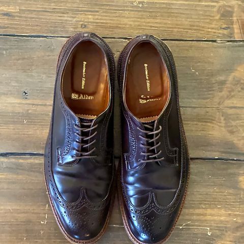 Alden Long Wing Blucher in Horween Color 8 Shell Cordovan