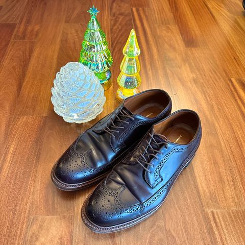 Alden Long Wing Blucher in Horween Color 8 Shell Cordovan