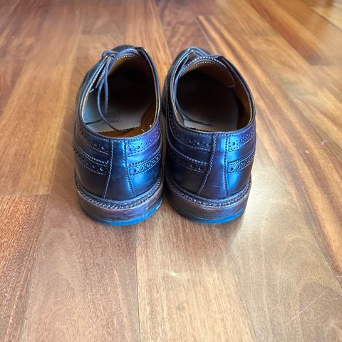 Alden Long Wing Blucher in Horween Color 8 Shell Cordovan