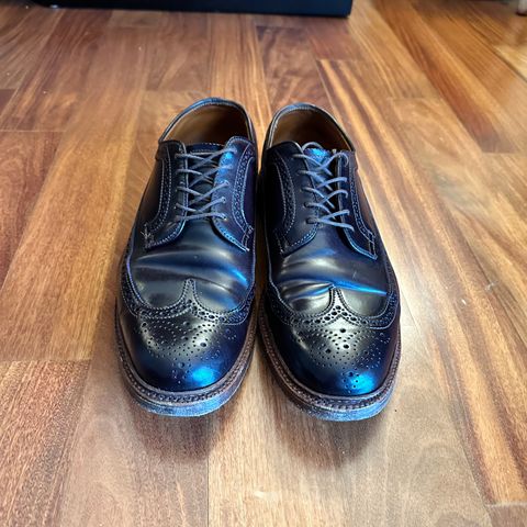 Alden Long Wing Blucher in Horween Color 8 Shell Cordovan