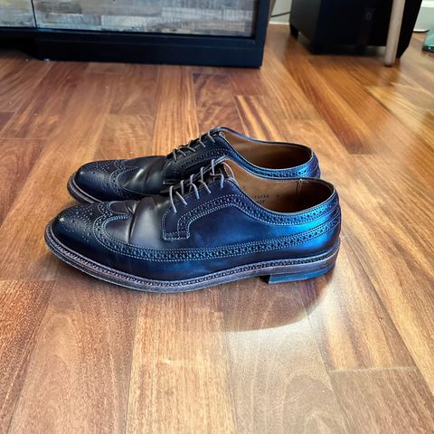 Alden Long Wing Blucher in Horween Color 8 Shell Cordovan