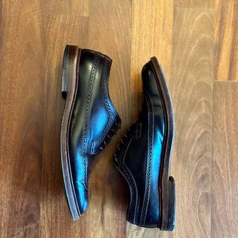 Alden Long Wing Blucher in Horween Color 8 Shell Cordovan