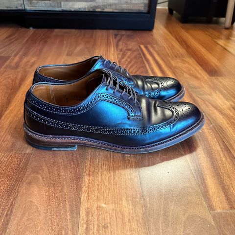 Alden Long Wing Blucher in Horween Color 8 Shell Cordovan
