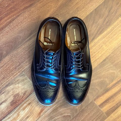 Alden Long Wing Blucher in Horween Color 8 Shell Cordovan