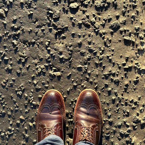 Alden Long Wing Blucher in Horween Color 8 Shell Cordovan