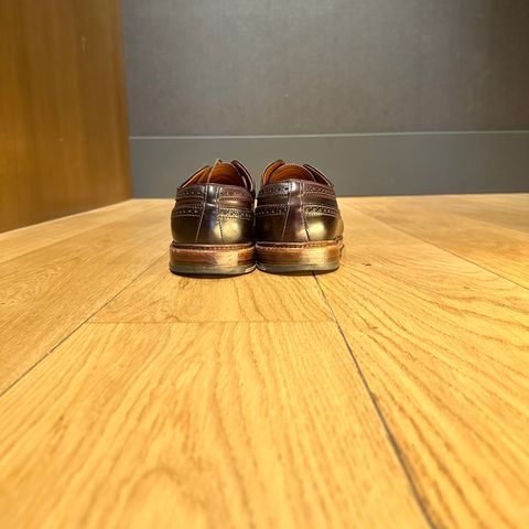 Alden Long Wing Blucher in Horween Color 8 Shell Cordovan
