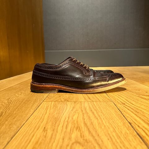 Alden Long Wing Blucher in Horween Color 8 Shell Cordovan
