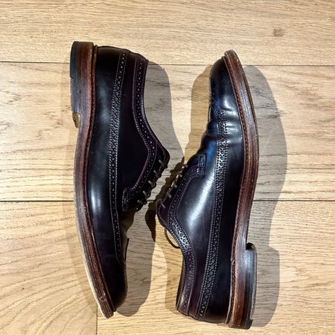 Alden Long Wing Blucher in Horween Color 8 Shell Cordovan