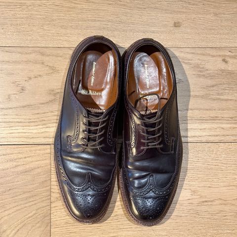 Alden Long Wing Blucher in Horween Color 8 Shell Cordovan