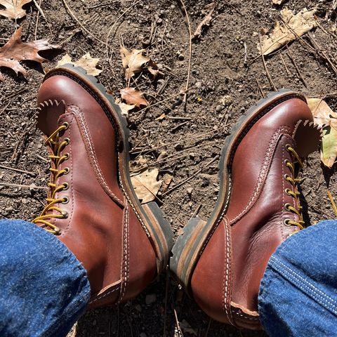Wesco Jobmaster in Seidel Brown Oil Tan