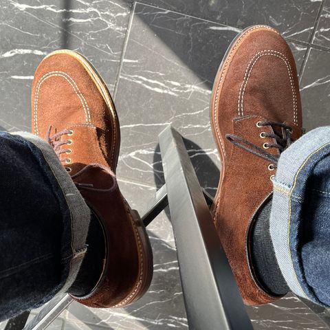 Alden Indy Shoe in Horween Tobacco Chamois Roughout