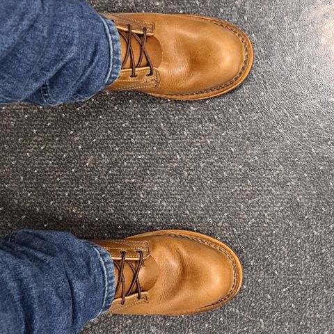 View photo of Frank's Boots Wilshire in Seidel Sesame Double Shot