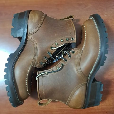 Nicks Robert in Seidel 1964 Brown