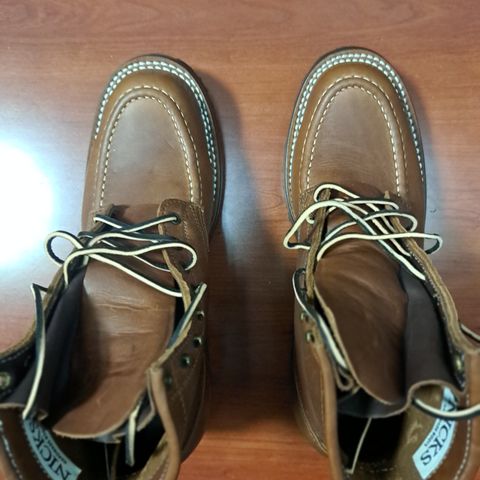 Nicks Robert in Seidel 1964 Brown