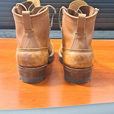 Nicks Robert in Seidel 1964 Brown