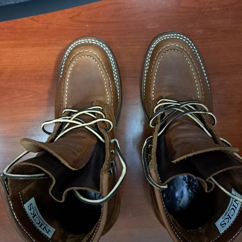 Nicks Robert in Seidel 1964 Brown