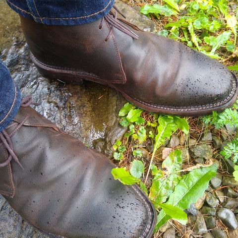 View photo of Crockett & Jones Molton in Dark Brown Roughout Suede