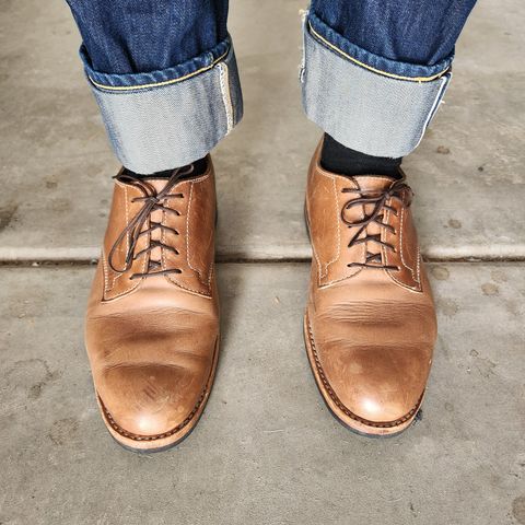 Search result thumbnail of White's Otto Derby in Horween Natural Chromexcel