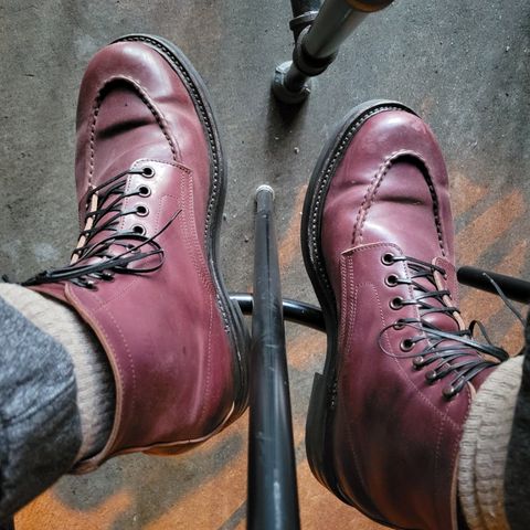 Role Club Townsman Lace Boots in Horween Color 8 Shell Cordovan