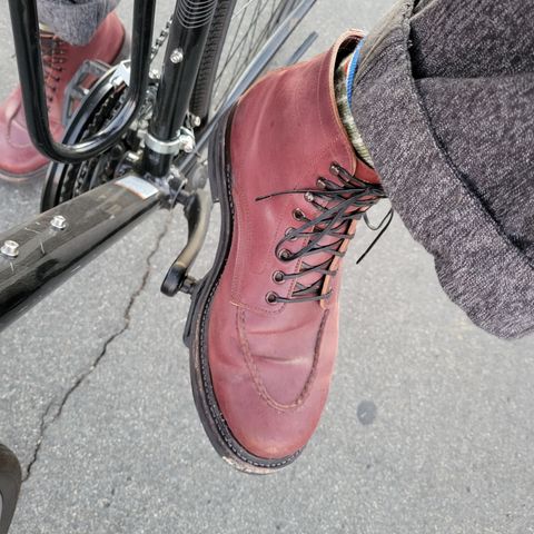Role Club Townsman Lace Boots in Horween Color 8 Shell Cordovan