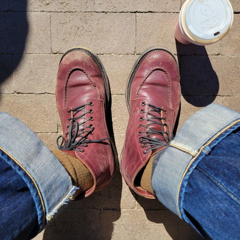 Role Club Townsman Lace Boots in Horween Color 8 Shell Cordovan