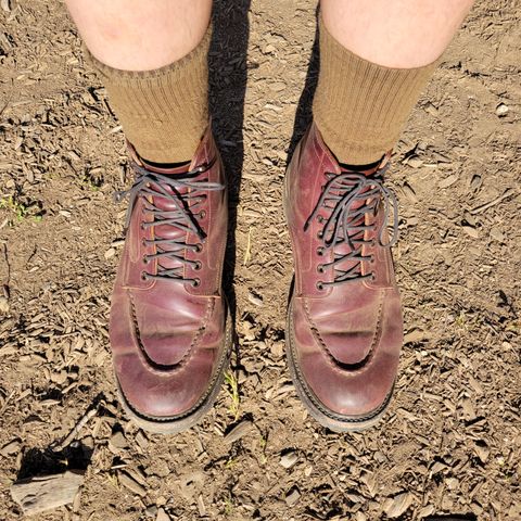 Role Club Townsman Lace Boots in Horween Color 8 Shell Cordovan