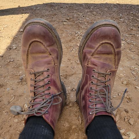 Role Club Townsman Lace Boots in Horween Color 8 Shell Cordovan