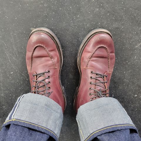 Role Club Townsman Lace Boots in Horween Color 8 Shell Cordovan