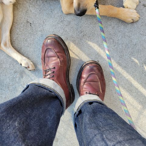 View photo of Role Club Townsman Lace Boots in Horween Color 8 Shell Cordovan