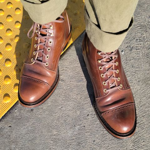 White Kloud Blucher.87 in Leder Ogawa Coffee Shell Cordovan