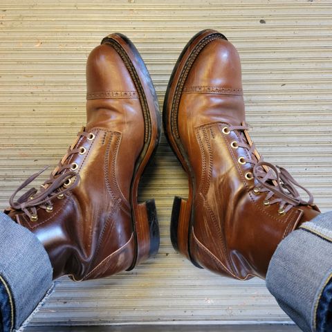 White Kloud Blucher.87 in Leder Ogawa Coffee Shell Cordovan