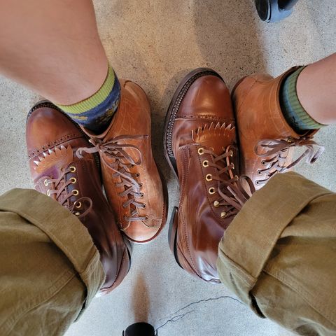 White Kloud Blucher.87 in Leder Ogawa Coffee Shell Cordovan
