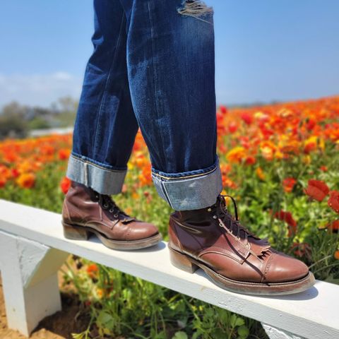 White Kloud Blucher.87 in Leder Ogawa Coffee Shell Cordovan