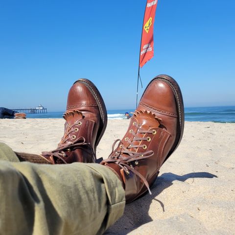 White Kloud Blucher.87 in Leder Ogawa Coffee Shell Cordovan