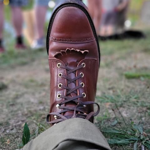 White Kloud Blucher.87 in Leder Ogawa Coffee Shell Cordovan