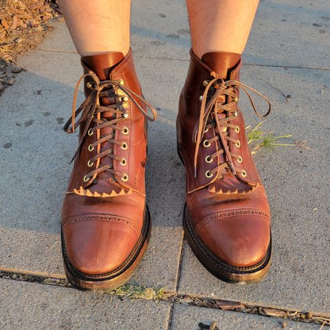 White Kloud Blucher.87 in Leder Ogawa Coffee Shell Cordovan