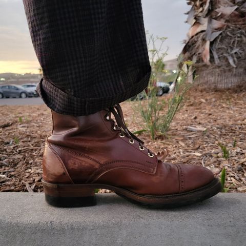 White Kloud Blucher.87 in Leder Ogawa Coffee Shell Cordovan