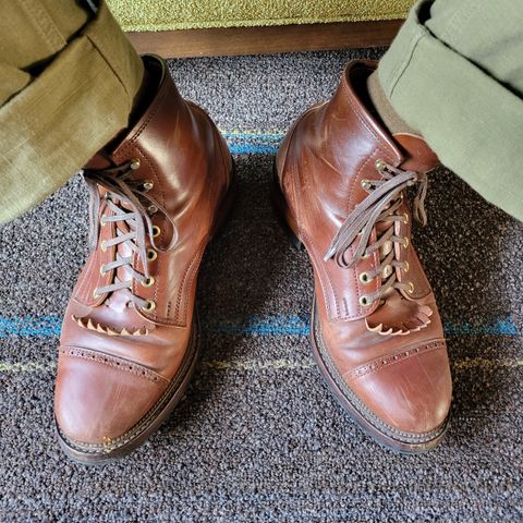 White Kloud Blucher.87 in Leder Ogawa Coffee Shell Cordovan