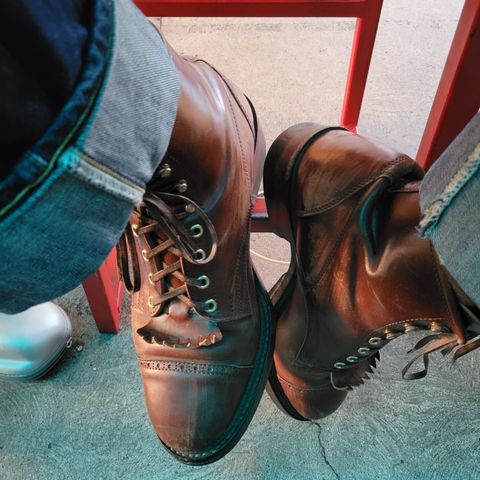 White Kloud Blucher.87 in Leder Ogawa Coffee Shell Cordovan