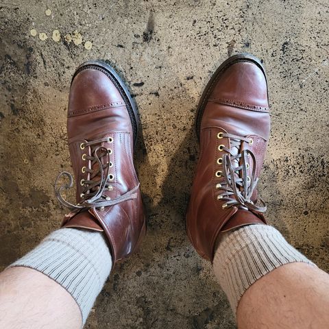 White Kloud Blucher.87 in Leder Ogawa Coffee Shell Cordovan