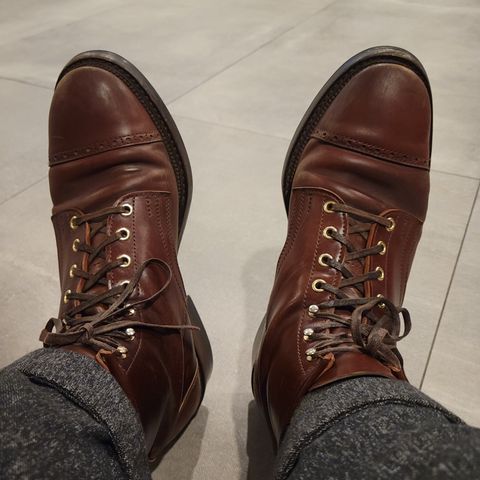 White Kloud Blucher.87 in Leder Ogawa Coffee Shell Cordovan