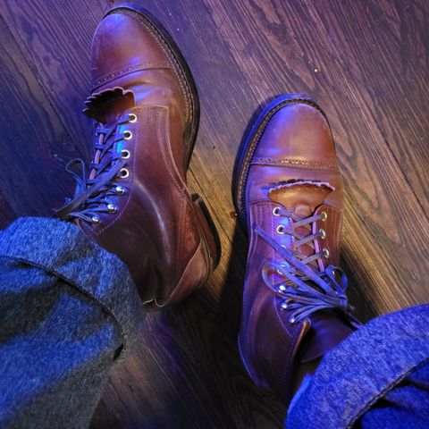 White Kloud Blucher.87 in Leder Ogawa Coffee Shell Cordovan