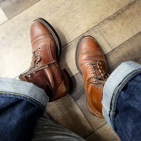 White Kloud Blucher.87 in Leder Ogawa Coffee Shell Cordovan