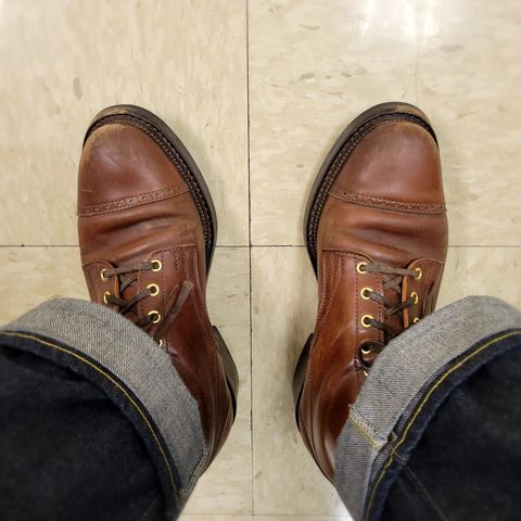 White Kloud Blucher.87 in Leder Ogawa Coffee Shell Cordovan