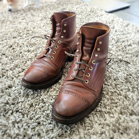 White Kloud Blucher.87 in Leder Ogawa Coffee Shell Cordovan