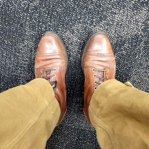 White Kloud Blucher.87 in Leder Ogawa Coffee Shell Cordovan