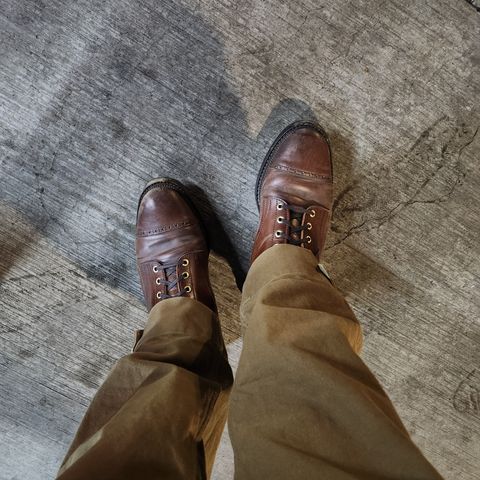 White Kloud Blucher.87 in Leder Ogawa Coffee Shell Cordovan