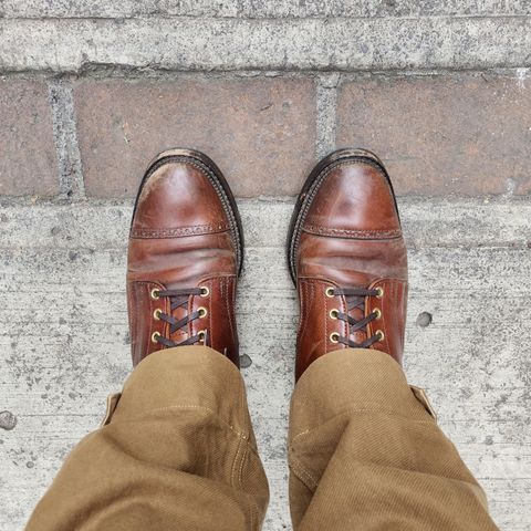 White Kloud Blucher.87 in Leder Ogawa Coffee Shell Cordovan